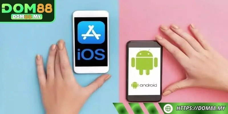 Bắt đầu quá trình tải xuống và cài đặt dễ dàng, nhanh chóng