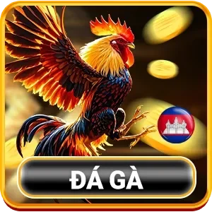 Đá gà dom88