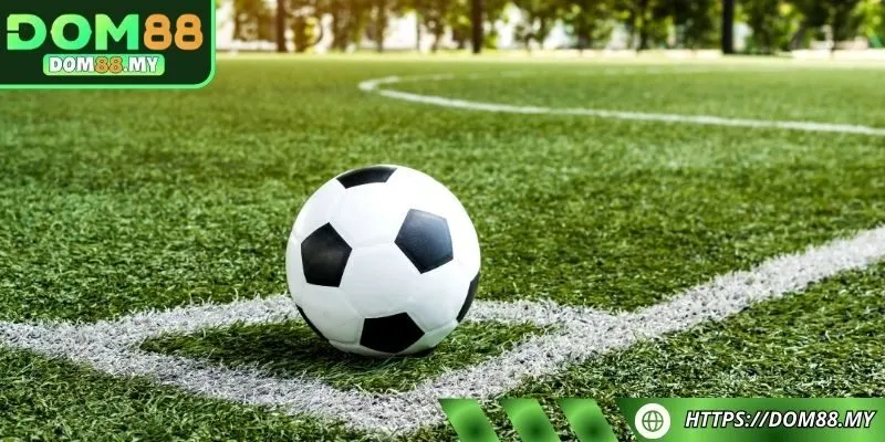 Kinh nghiệm thắng lớn khi đặt cược từ cao thủ