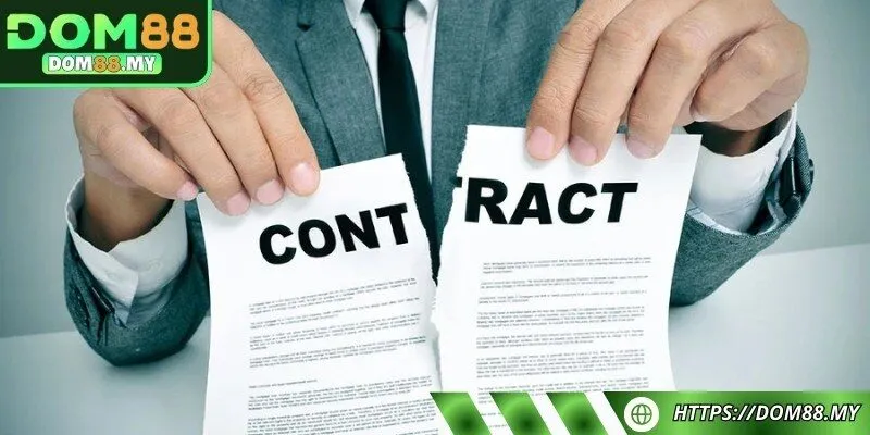 Trải nghiệm của hội viên tại nền tảng hoàn toàn tự nguyện