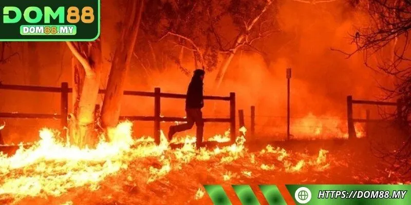 Đánh ngay con 79, 91 khi mơ thấy lửa từ cháy nhà, cháy rừng