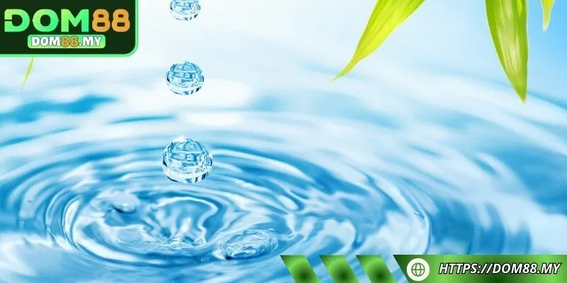 Kinh nghiệm vào tiền với những giấc mộng khi thấy nước